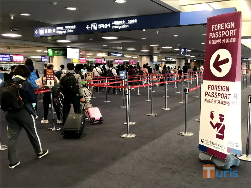 What You Can't Bring Into Korea: Medications, Food, and Customs Rules